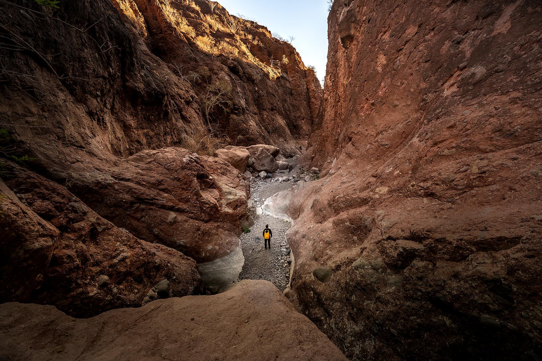 Exploration au cœur de la Basse-Californie   