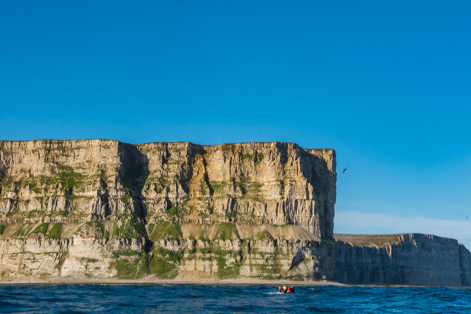 Des côtes sauvages du Groenland à la côte est du Canada