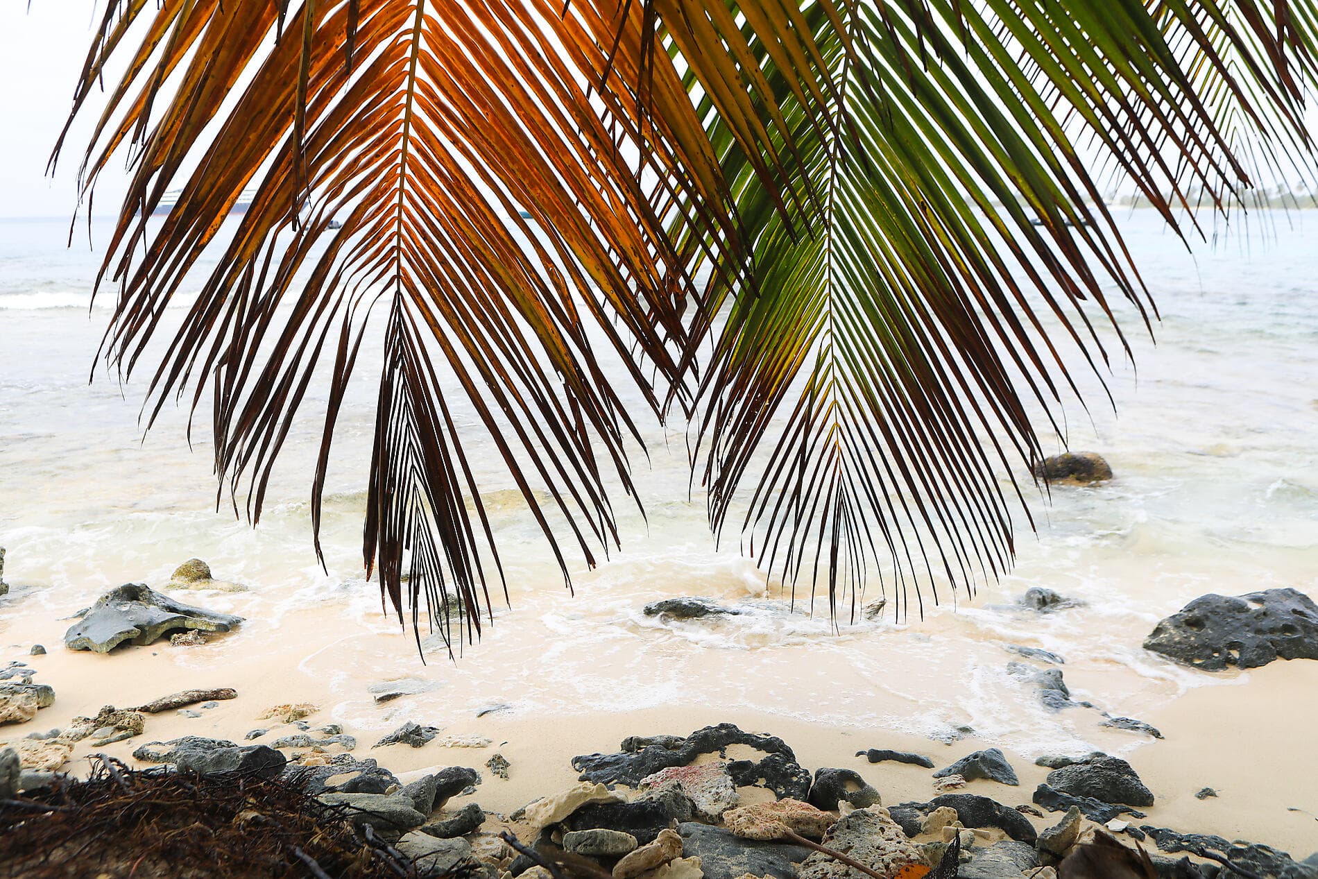 De la beauté sauvage du Panama aux rivages péruviens 