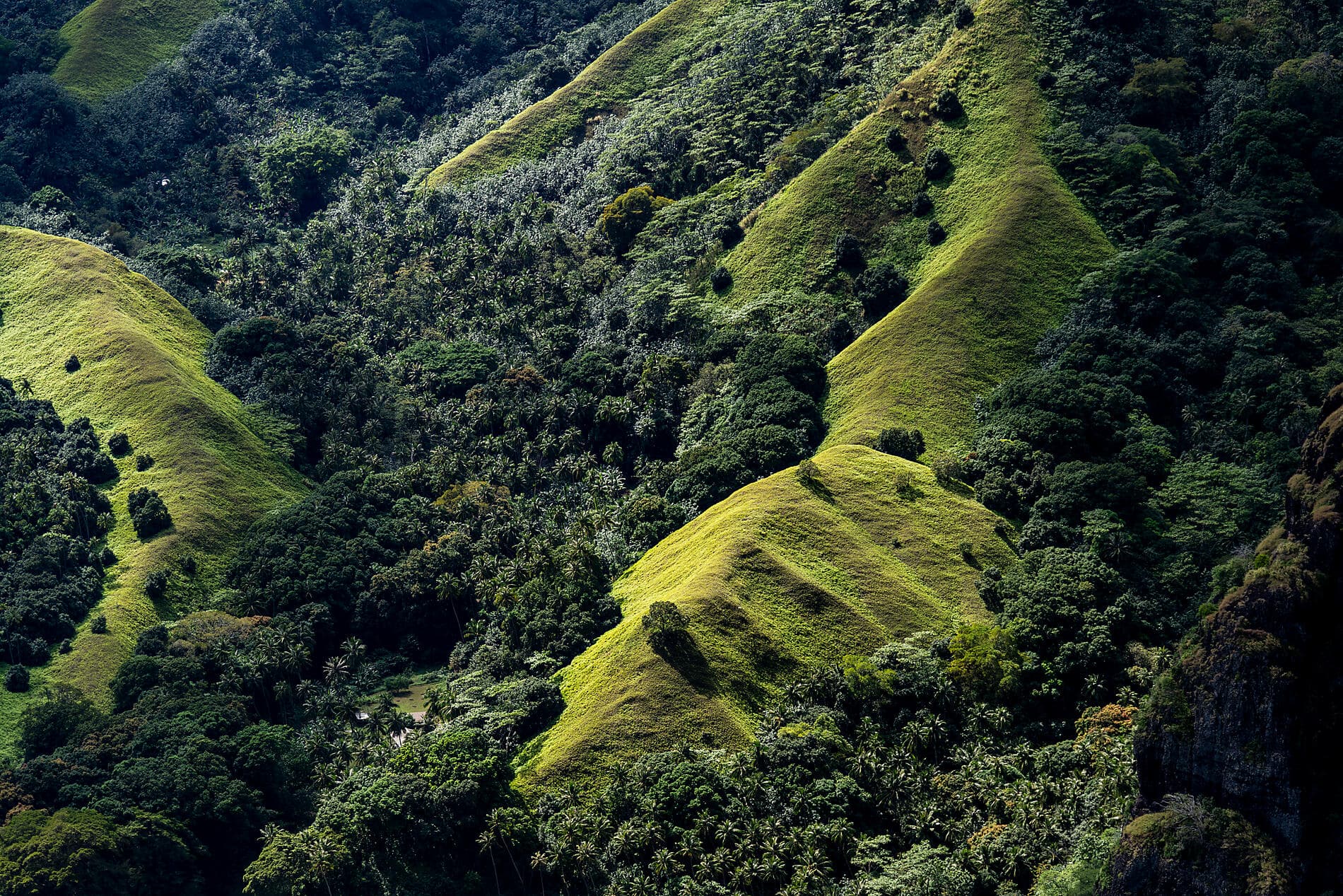 Marquises, Tuamotu et îles de la Société