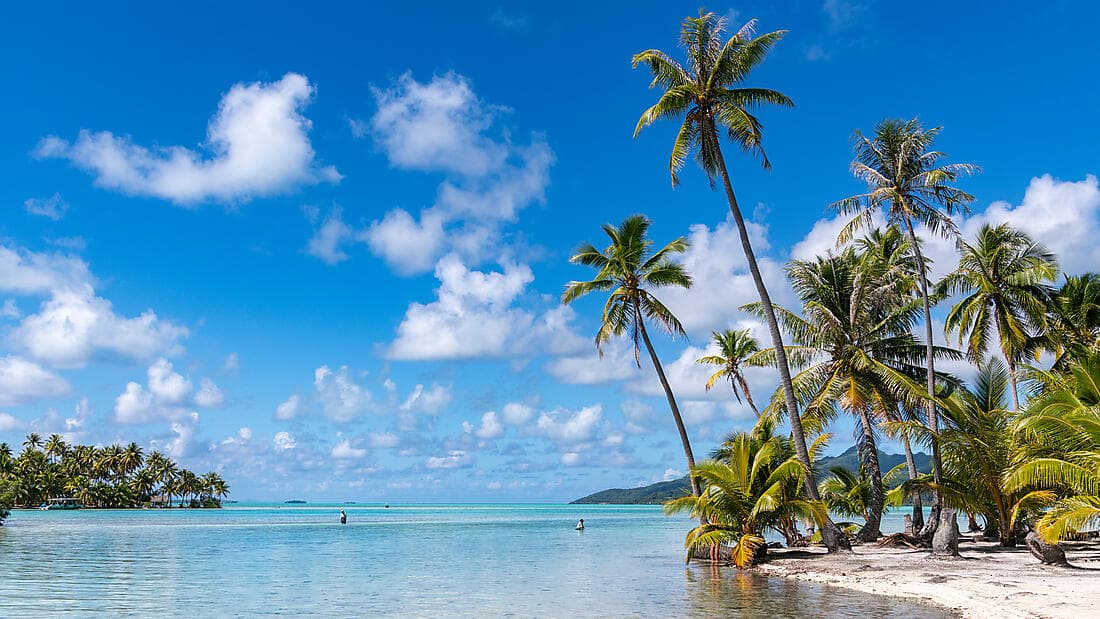 Marquises, Tuamotu et îles de la Société