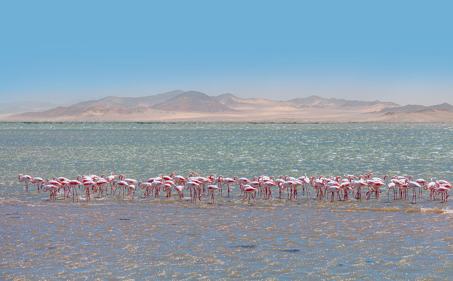 Namibie et Afrique du Sud