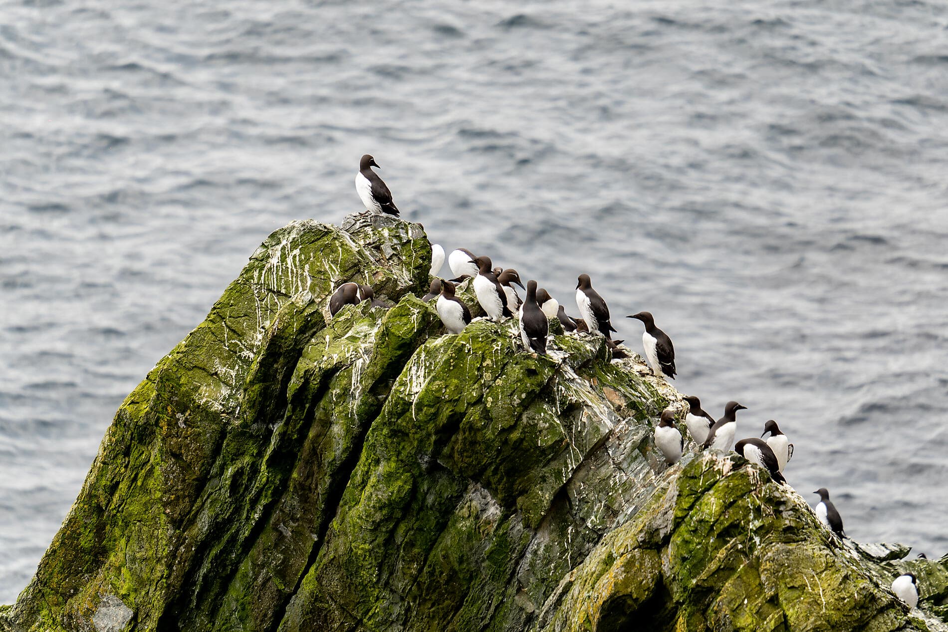 Terres légendaires et cités du Nord