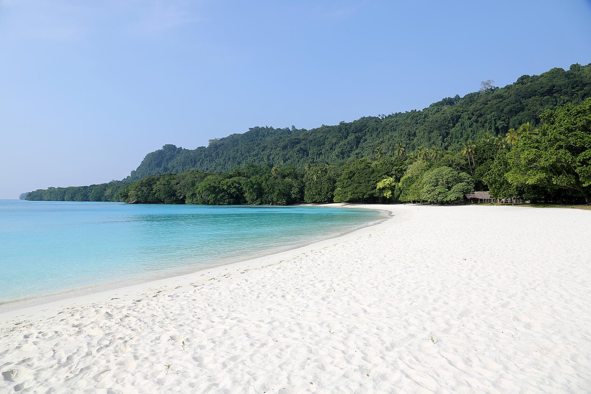 Escapade au cœur de la Mélanésie