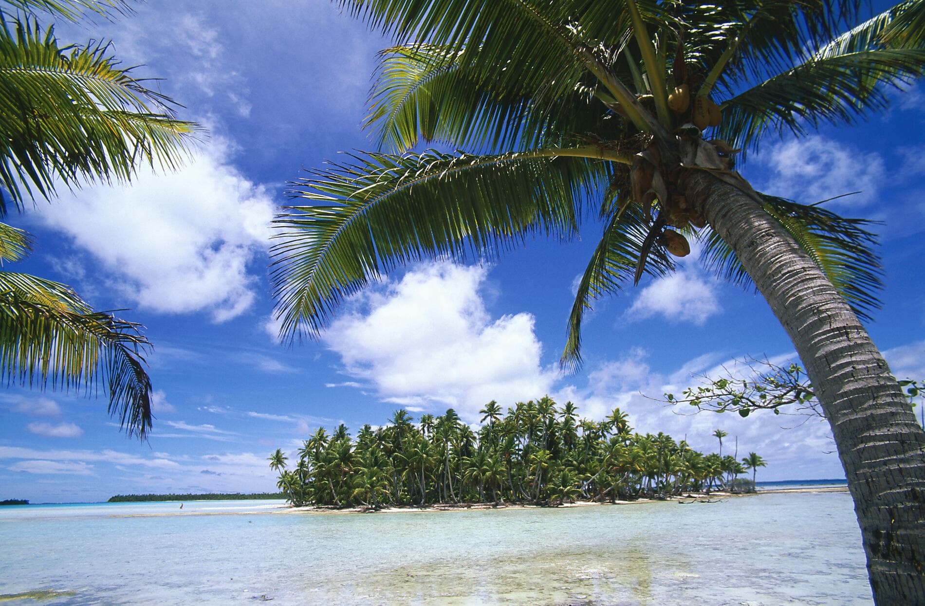 Polynésie française confidentielle et île Pitcairn